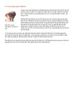 tại sao trong sa mạc có nấm đá