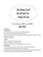 Quê hương - Bác Hồ - Trường tiểu học