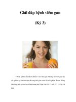 Giải đáp bệnh viêm gan (Kỳ 3) pdf