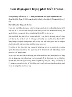 Giai đoạn quan trọng phát triển trí não pps