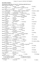 Testing -đề thi thu tốt nghiệp 12-(4)