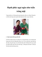 Hạnh phúc ngọt ngào như tuần trăng mật ppt