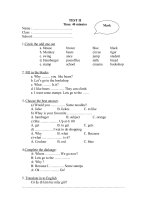 Đề thi Anh Văn kì 2 - lớp 4