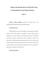 Chapter 140. Infections Due to the HACEK Group and Miscellaneous Gram-Negative Bacteria (Part 1) pptx