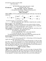 đề HSG 11 Mai Châu-Hòa Bình HAY