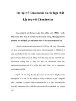 Sự thật về Glucosamin và các hợp chất kết hợp với Chondroitin pdf
