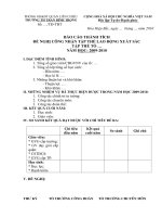 Báo cáo thành tích tập thể LĐXS NH 2009-2010