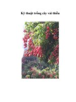 Kỹ thuật trồng cây vải thiều ppsx