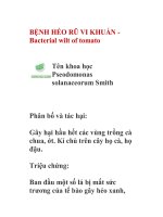 Bệnh hại cây trồng pot