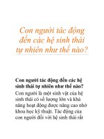 Con người tác động đến các hệ sinh thái tự nhiên như thế nào? ppsx