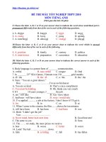 Đề tham khảo TNTHPT Anh_2010 số 9