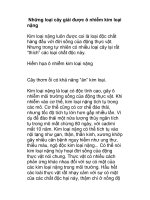 Những loại cây giải được ô nhiễm kim loại nặng Kim loại nặng pptx