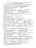 Đề thi thử TN môn Hóa