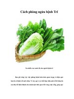 Cách phòng ngừa bệnh Trĩ pps