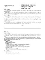 Đề thi HKII - Văn 11-NH09-10