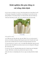 Kinh nghiệm dân gian dùng củ cải trắng chữa bệnh pot
