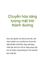 Chuyển hóa năng lượng mặt trời thành đường pot