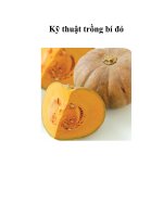 Kỹ thuật trồng bí đỏ pps