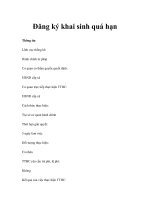 Đăng ký khai sinh quá hạn Thông tin Lĩnh vực thống kê: Hành chính tư pháp Cơ quan pdf