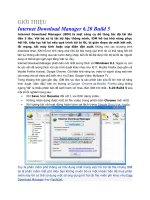 Internet Download Manager 6.20 Build 5