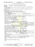 thu cong 1 - tuan 33- ( nen hinh )