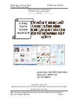 SKKN- Một số kỹ năng sử dụng kênh hình..