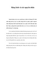 Động kinh và các nguyên nhân ppsx