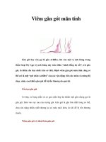 Viêm gân gót mãn tính pdf