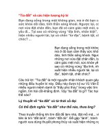 “Tia đất” và các hiện tượng kỳ bí pps