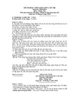 Đề thi chọn HSG lớp 5