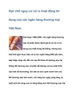 Hạn chế nguy cơ rủi ro hoạt động tín dụng của các ngân hàng thương mại pptx
