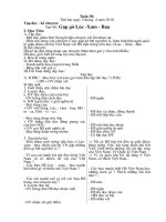 GA tuần 30 lớp 3 Ng V Trung