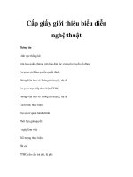 Cấp giấy giới thiệu biểu diễn nghệ thuật pps