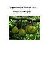 Nguyên nhân bệnh xì mủ, thối trái sầu riêng và cách khắc phục pot