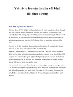 Vai trò to lớn của insulin với bệnh đái tháo đường doc