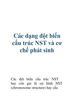 Các dạng đột biến cấu trúc NST và cơ chế phát sinh pptx