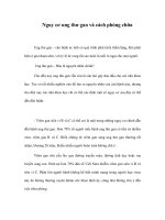 Nguy cơ ung thư gan và cách phòng chữa pot