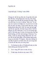 Ngộ độc chì pps