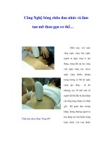 Công Nghệ Sóng chữa đau nhức và làm tan mỡ thon gọn cơ thể… pdf