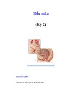 Tiểu máu (Kỳ 2) docx