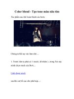 Color blend - Tạo tone màu nâu tím- P1 potx