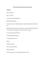 Phê duyệt dự án phát triển nhà ở thương mại ppsx