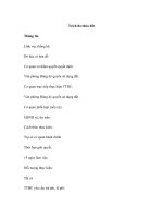 Trích đo thửa đất pdf