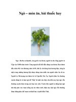 Ngò – món ăn, bài thuốc hay docx