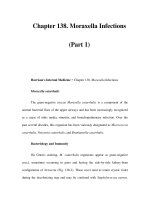 Chapter 138. Moraxella Infections (Part 1) Harrison''''s Internal Medicine Chapter 138. Moraxella doc
