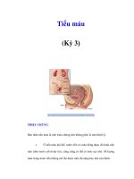 Tiểu máu (Kỳ 3) docx