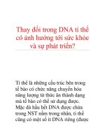 Thay đổi trong DNA ti thể có ảnh hưởng tới sức khỏe và sự phát triển? doc