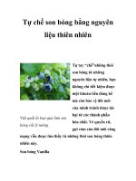 Tự chế son bóng bằng nguyên liệu thiên nhiên ppt