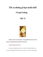 Tất cả những gì bạn muốn biết về quả trứng (Kỳ 1) ppt