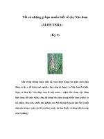 Tất cả những gì bạn muốn biết về cây Nha đam (ALOE VERA) (Kỳ 1) docx
